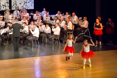 musikabend_20161111_3059s
